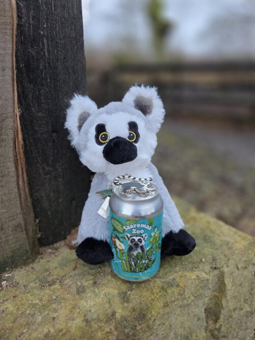 Kinkekomplekt Leemuri fänni